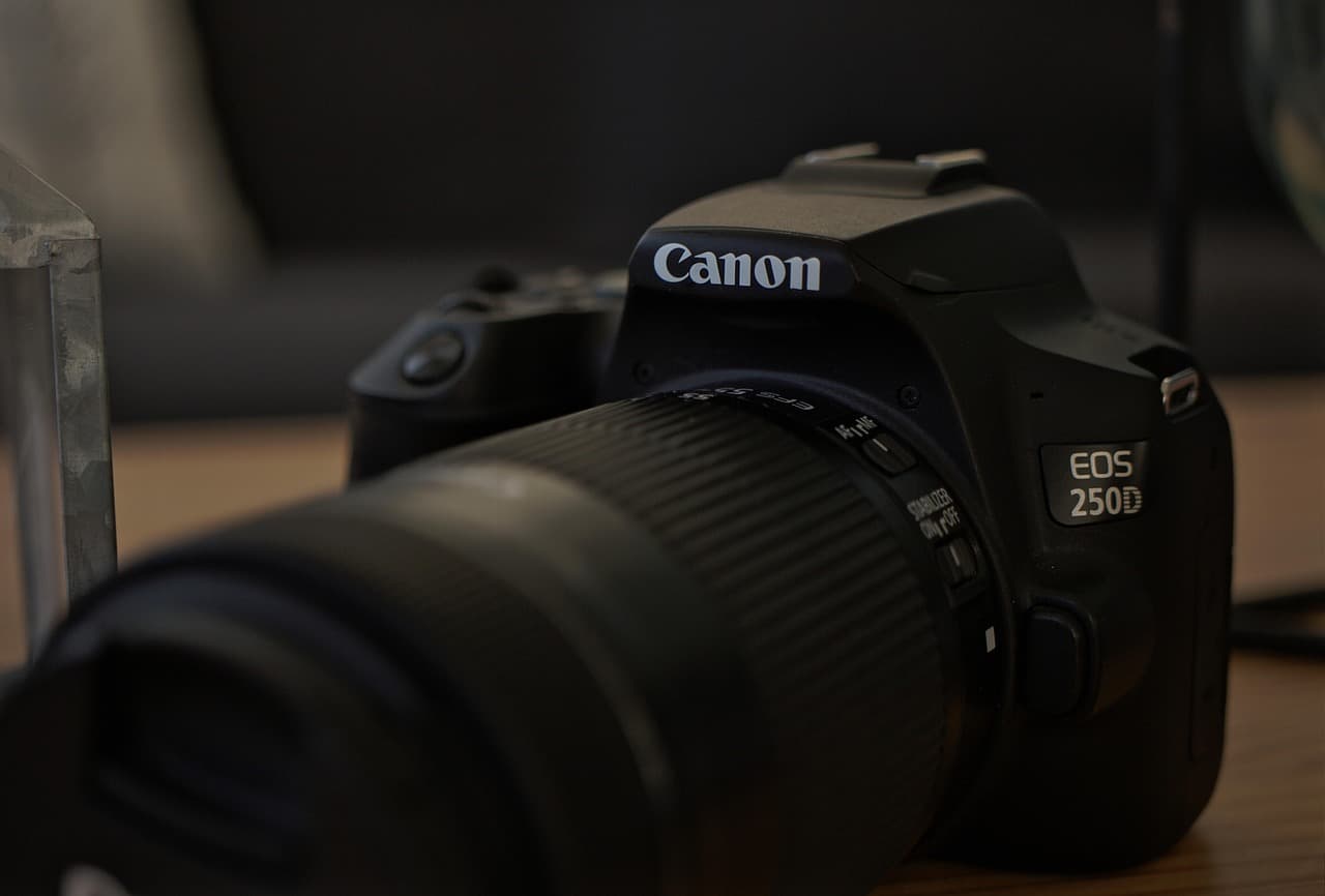 Answer Engines: Types and Importance